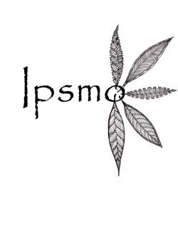 Decolonization and Indigenous Solidarity: Interview with IPSMO member Greg Macdougall